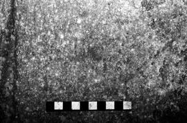 NMSA 03 4167P