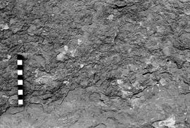 NMSA 03 3349P