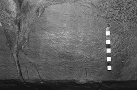 NMSA 03 4455P