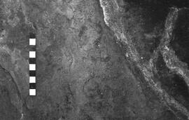 NMSA 03 2238P