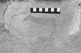 NMSA 03 927P