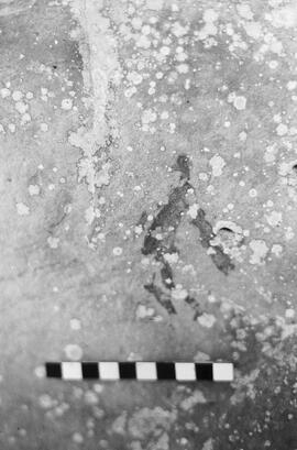 NMSA 03 5632P