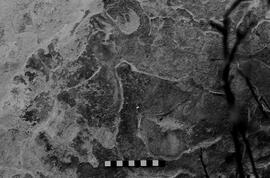 NMSA 03 3392P