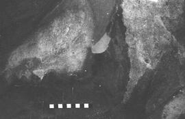 NMSA 03 2493P