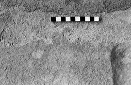 NMSA 03 6849P