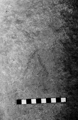 NMSA 03 4582P