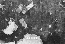 NMSA 03 1266P