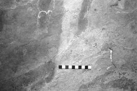 NMSA 03 2603P