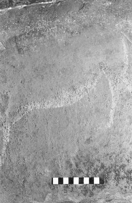 NMSA 03 1341P