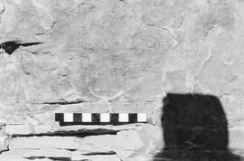 NMSA 03 2243P