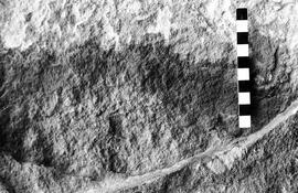 NMSA 03 3923P