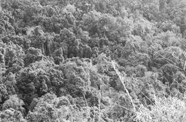 NMSA 03 2776P