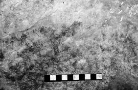 NMSA 03 4146P