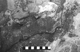 NMSA 03 5064P
