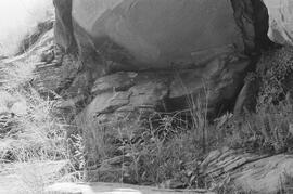 NMSA 03 1562P