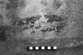 NMSA 03 5995P