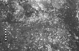 NMSA 03 6897P