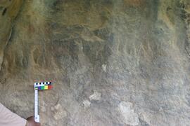NMSA RSA SCD1 30D
