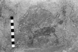 NMSA 03 5302P