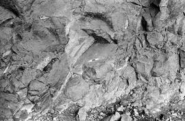 NMSA 03 4063P