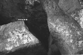 NMSA 03 174P