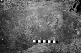 NMSA 03 3464P