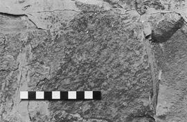 NMSA 03 2635P