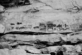 NMSA 03 5037P