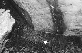 NMSA 03 4023P