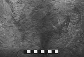 NMSA 03 5398P