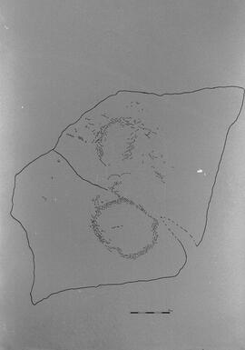 NMSA 03 8049P