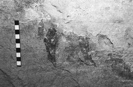 NMSA 03 6401P
