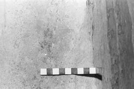 NMSA 03 1815P