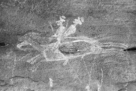 NMSA 03 494P