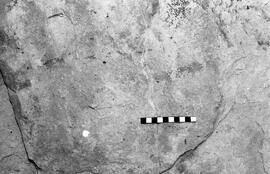 NMSA 03 4605P