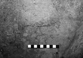 NMSA 03 4105P