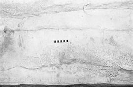 NMSA 03 1300P