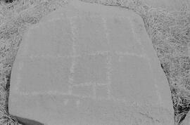 NMSA 03 8168P
