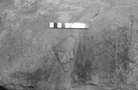 NMSA 03 1442P