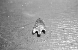 NMSA 03 8775P
