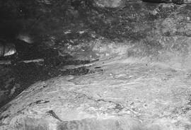 NMSA 03 4458P