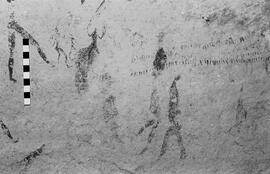NMSA 03 5387P