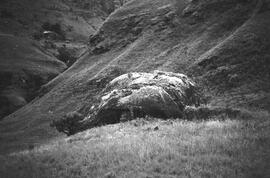 NMSA 03 1913P