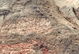 NMSA 02 309P