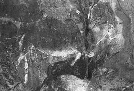 NMSA 03 7879P