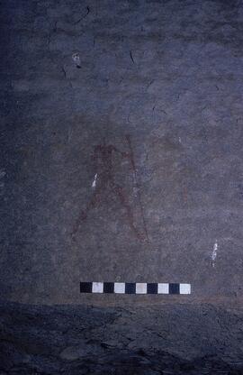 RSA DIG2 7