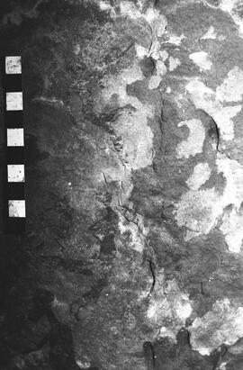 NMSA 03 4523P