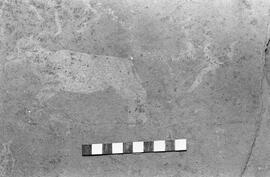 NMSA 03 1548P