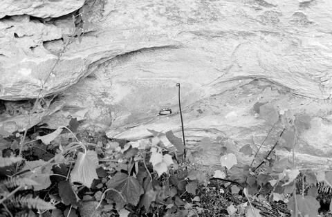 Open original Digitaal object