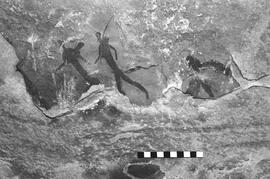 NMSA 03 5308P